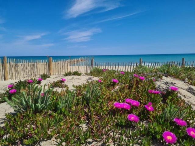 Maison Plein Pied Proximite Plage Et Commerce - 5Sir33 Villa Le Barcarès Kültér fotó